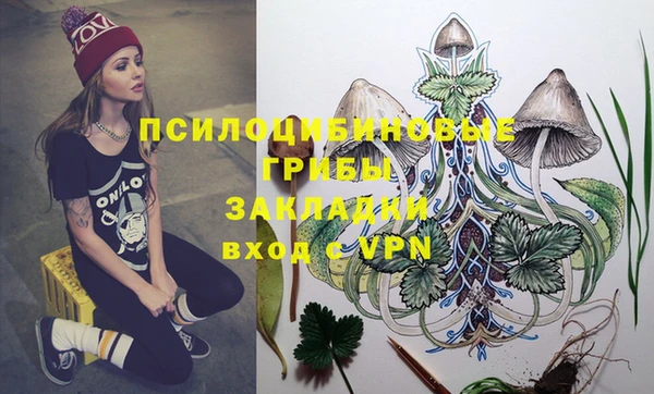 мдпв Армянск