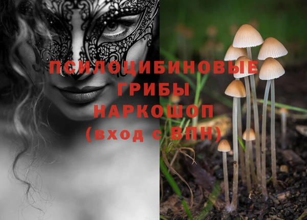 ALPHA PVP Аркадак