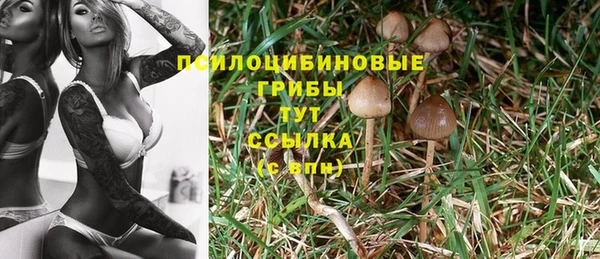 синтетический гашиш Арсеньев